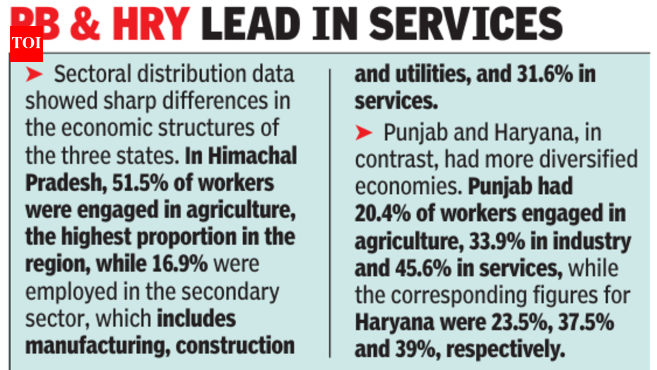 Punjab youth unemployment up, Himachal Pradesh tops region: PLFS data