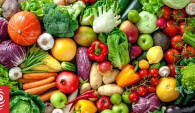 Fad diets - a Harvard professor puts them to the test