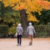 Researchers want to test if a combination of interventions can help people remain vital for longer.