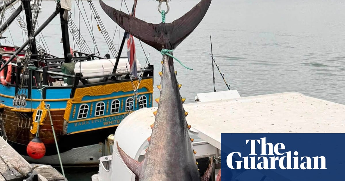 ‘Success story’ hailed as bluefin tunas caught off Yorkshire for first time since 1960s | Fish