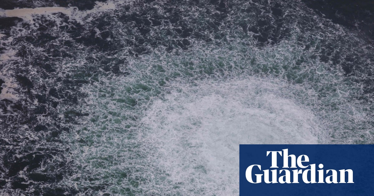 Ukrainian diver arrested in Croatia over Nord Stream pipeline bombings | Nord Stream 1 pipeline