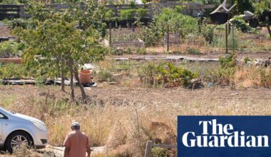 Watermelons in Bristol: how UK heatwaves are affecting growers | Allotments