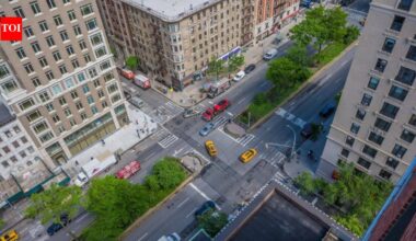Between six lanes of Manhattan traffic, Broadway's medians are being replanted with native species to create a five-mile corridor for birds and bees