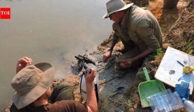 A strange wooden log found beneath Zambia’s Kalambo Falls was dismissed for decades, then archaeologists dated it to 476,000 years ago | World News