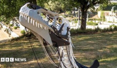 A white and black foam sculpture of Megalosaurus resting on its belly on the grass.