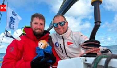 A tiny owl flew 70 miles out to sea and collapsed on a yacht, exhausted and too weak to fly, she found an unlikely group of rescuers who refused to leave her behind