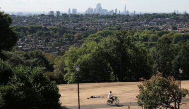 London is famous for its great trees. More than 70% are at risk due to climate change, research finds