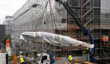 Whale moves into new Swiss home