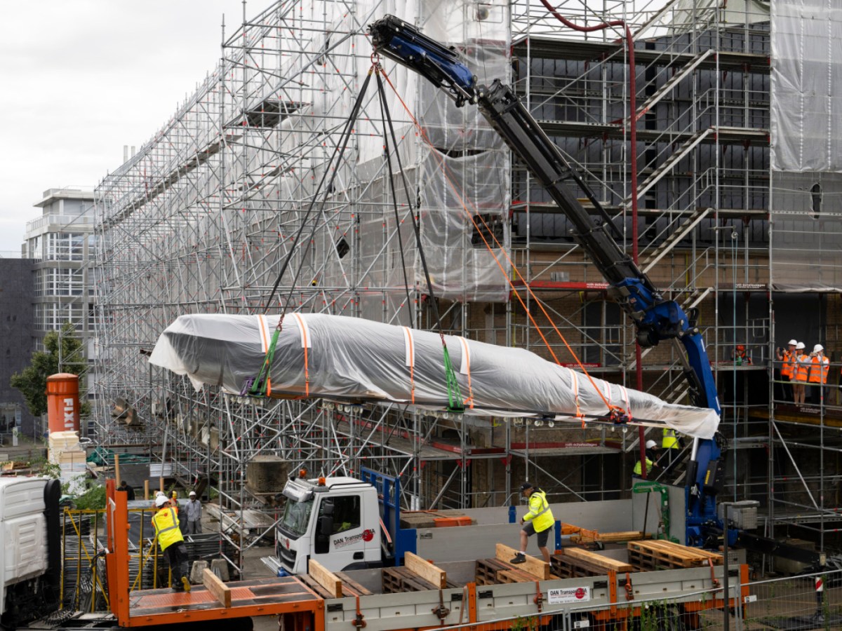 Whale moves into new Swiss home