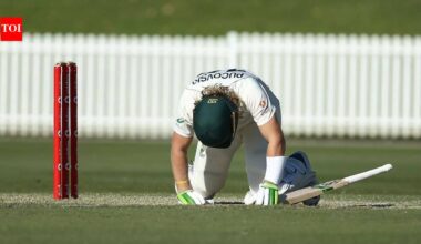Former Australian Test cricketer forced to retire at 27 sues school for head injury in 2014; here's why | Cricket News