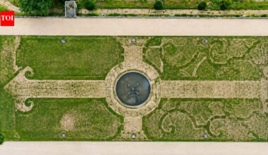 UK heatwave exposes 300-year-old hidden gardens as drought reveals forgotten historic landscapes across Europe | World News