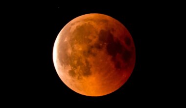 Where And When To See Tonight’s ‘Blood Moon’ Lunar Eclipse From Every U.S. State