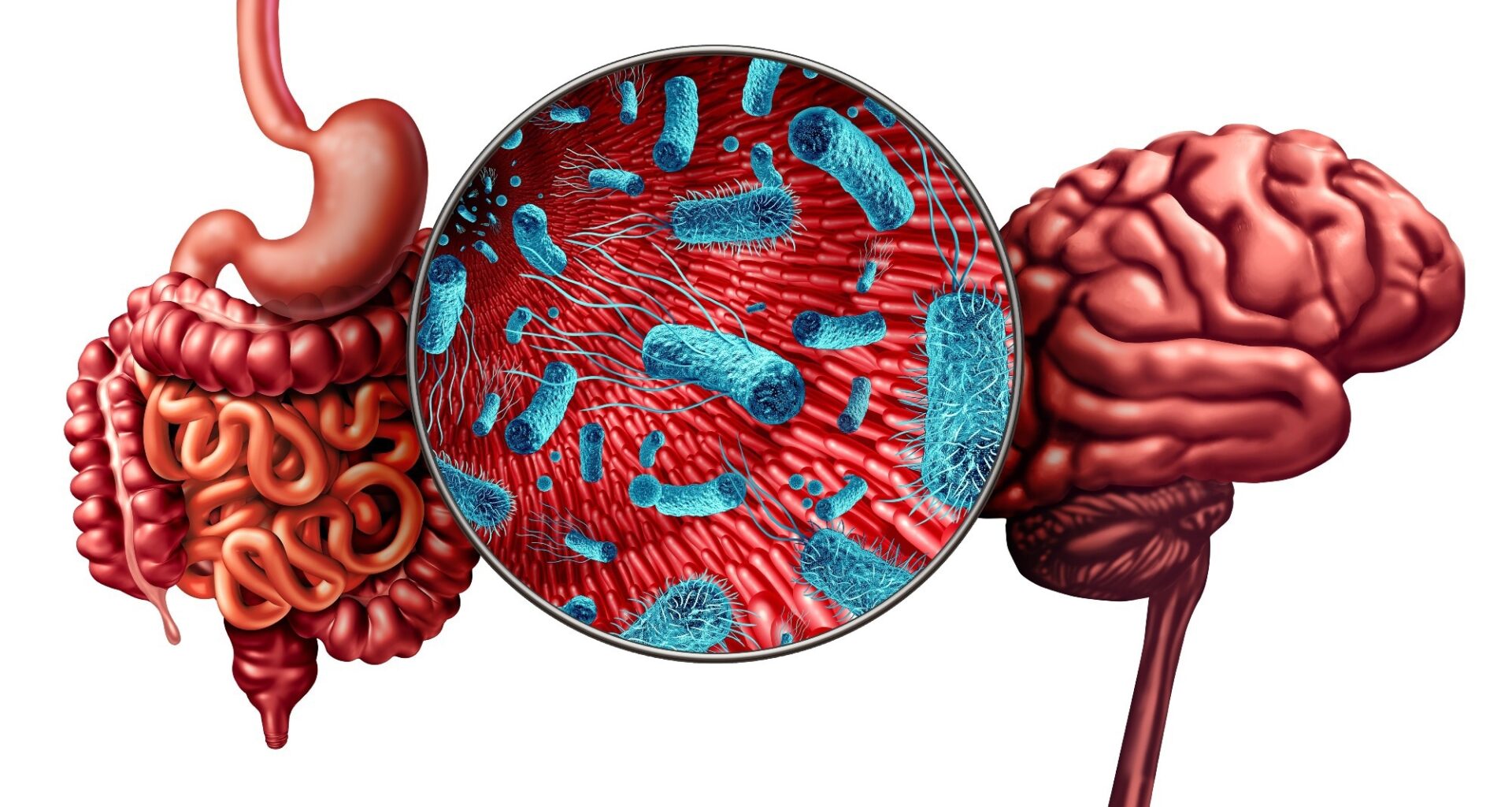 Psychobiotic Strategies for Managing Anxiety, Depression, and Schizophrenia: A Narrative Review. Image Credit: Lightspring / Shutterstock