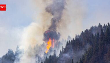 In 2017, a wildfire advanced toward Roslyn, Washington; nine years later the town has deliberately burned 500+ acres of forest to build a protective shield against future fires