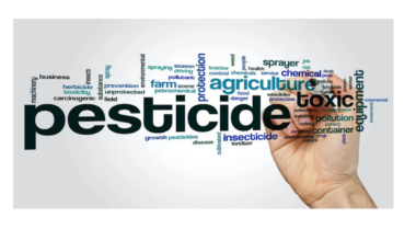 UK pesticide advisory group winds down