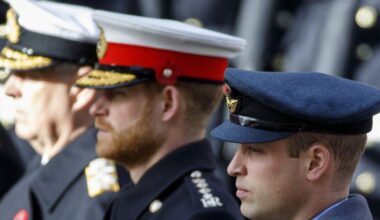 Prince Harry set to miss Cenotaph appearance with King and William despite UK return