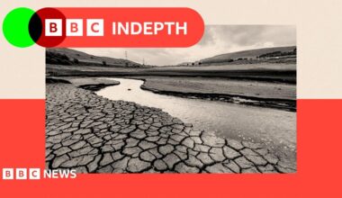 BBC InDepth