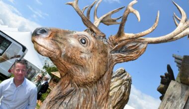 Appeal to create new deer sculpture at Canute Place
