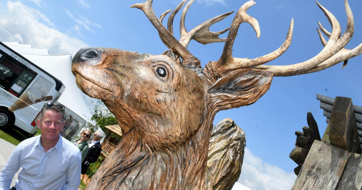 Appeal to create new deer sculpture at Canute Place
