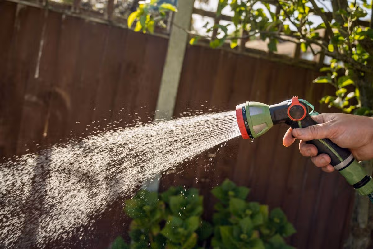 Hand watering garden plants with hose spray nozzle in sunny backyard