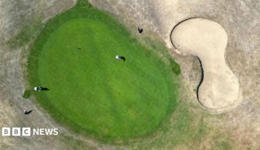 An aerial photo circular area of green grass on a golf course surrounded by grass that the heat has yellowed. Two players and their golf bags are visible.