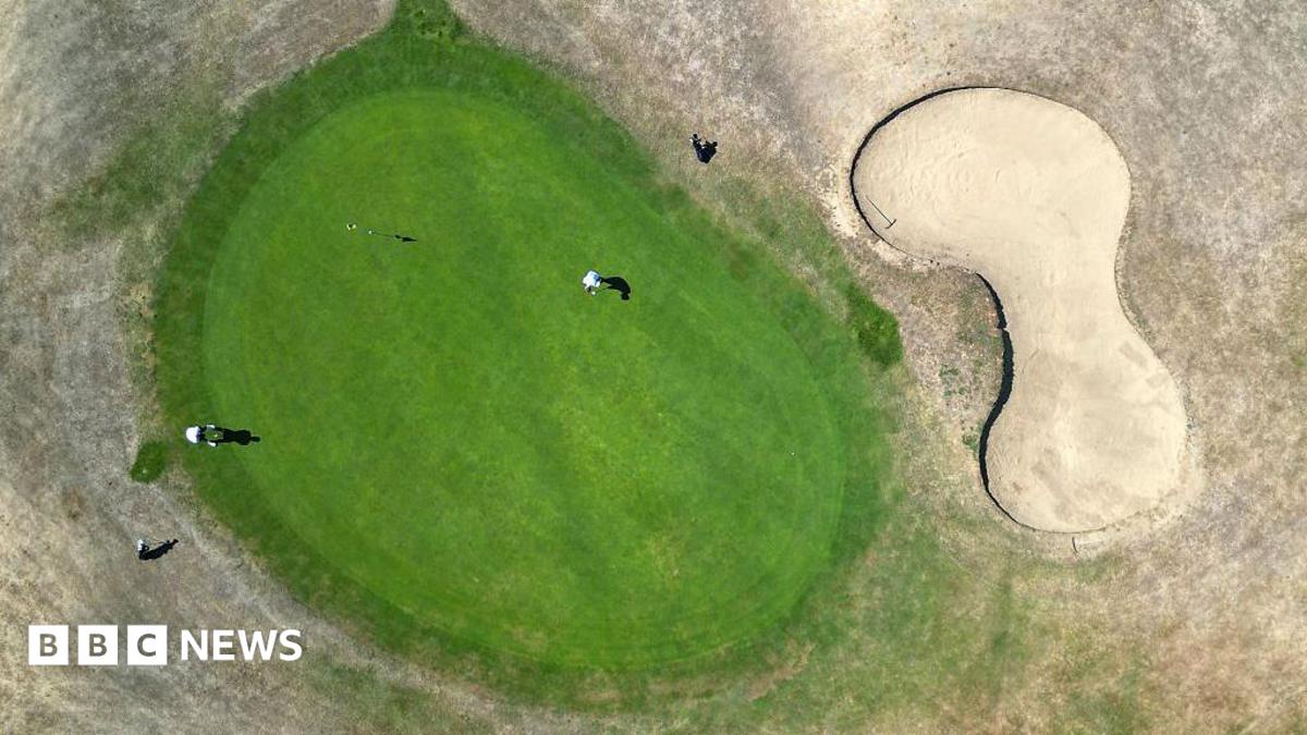 An aerial photo circular area of green grass on a golf course surrounded by grass that the heat has yellowed. Two players and their golf bags are visible.