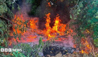 A fire burns though a bush and trees in a small coner of a cricket ground, with a brick wall behind it. There is ash on the floor.