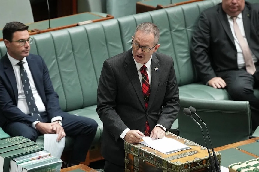 Andrew Wallace, a middle-aged man with glasses and a tartan tie, stands at the despatch box.