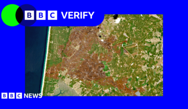 A satellite image showing wildfire burn marks across a large area of land in south-western France near Bordeaux