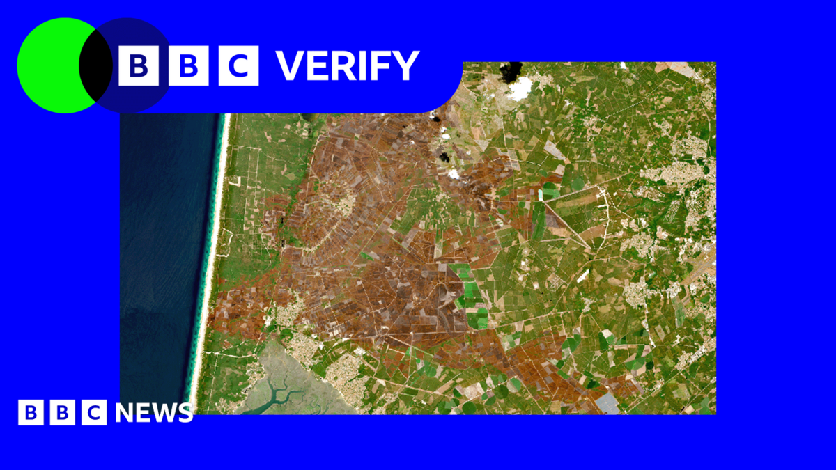 A satellite image showing wildfire burn marks across a large area of land in south-western France near Bordeaux
