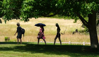 New heat health alerts come into effect with highs of 35C forecast in some areas