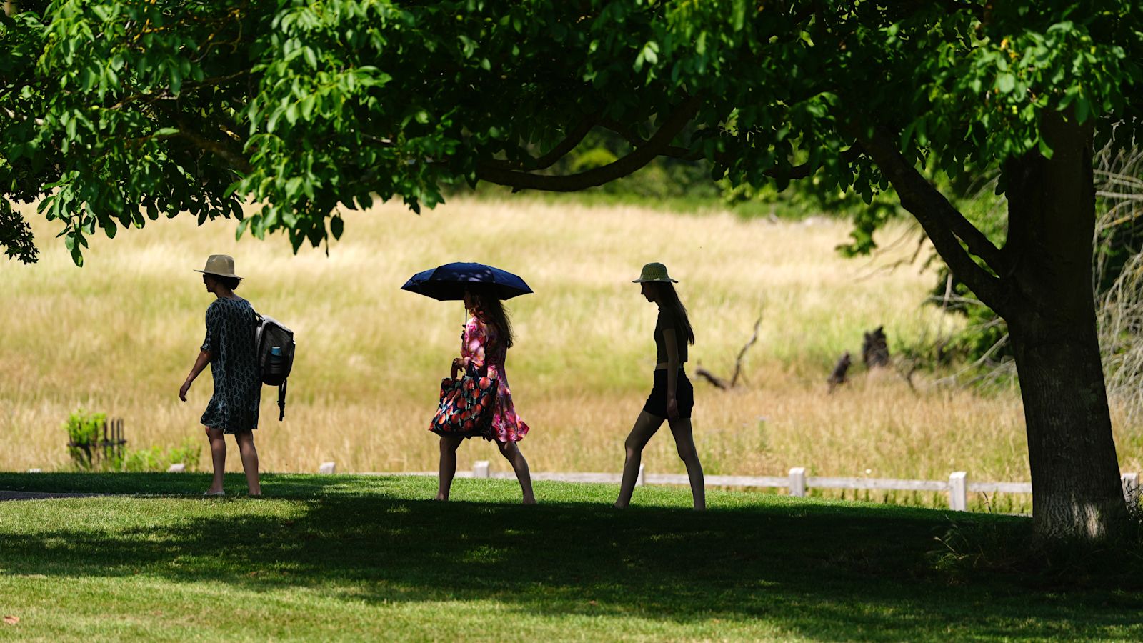 New heat health alerts come into effect with highs of 35C forecast in some areas