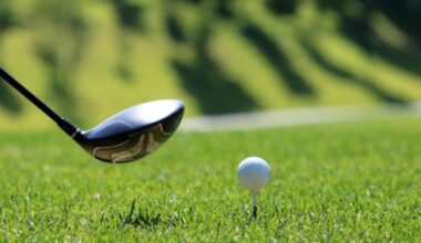 Golf simulator teed up for business park in New Forest