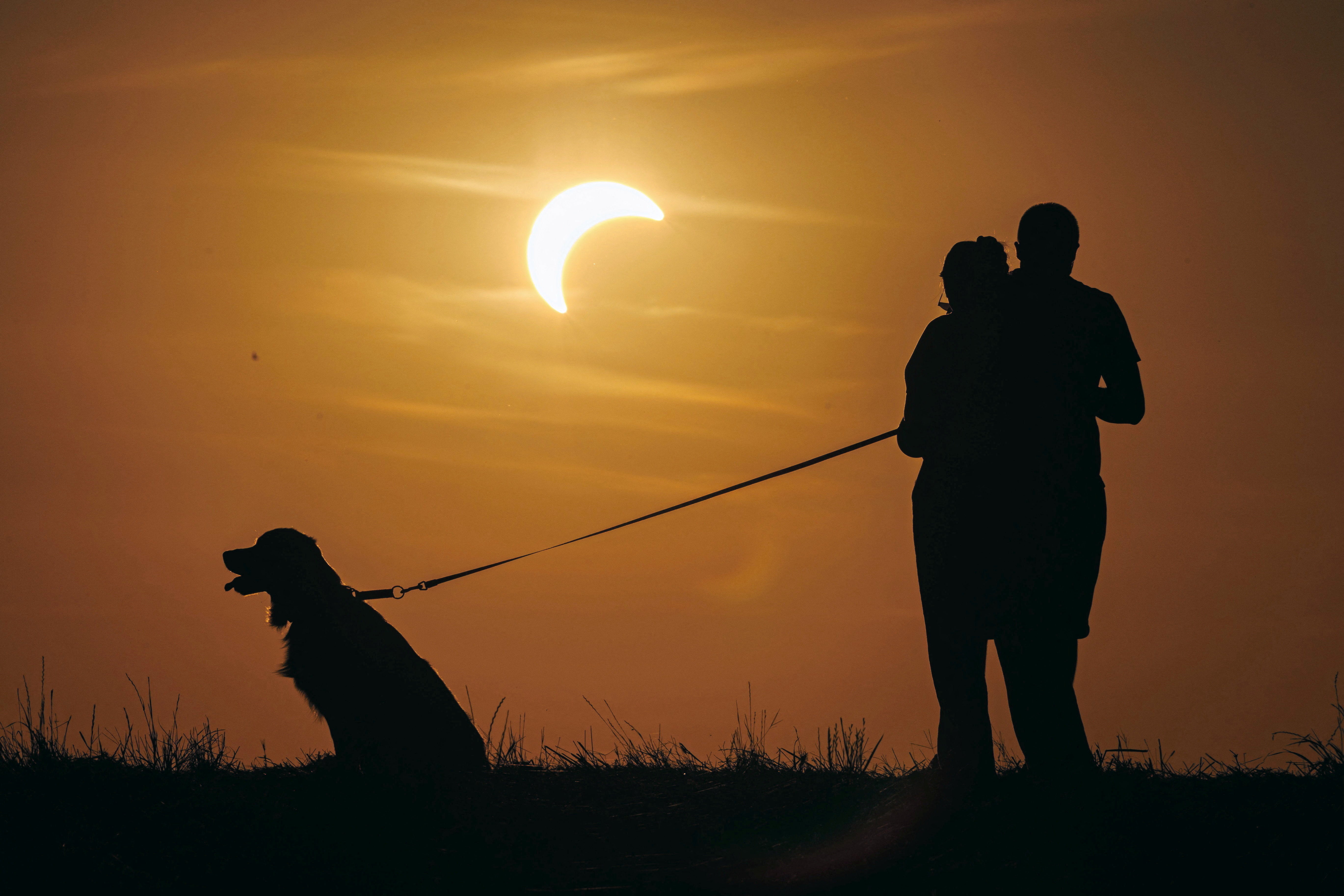 People stand with a dog during a partial solar eclipse in Poznan, Poland, August 12, 2026