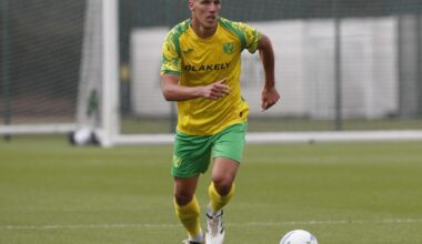 Norwich City: Who could be surplus to requirements?