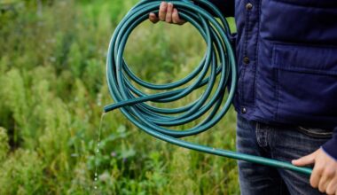 Dorset hosepipe ban as drought and heatwave hit supplies