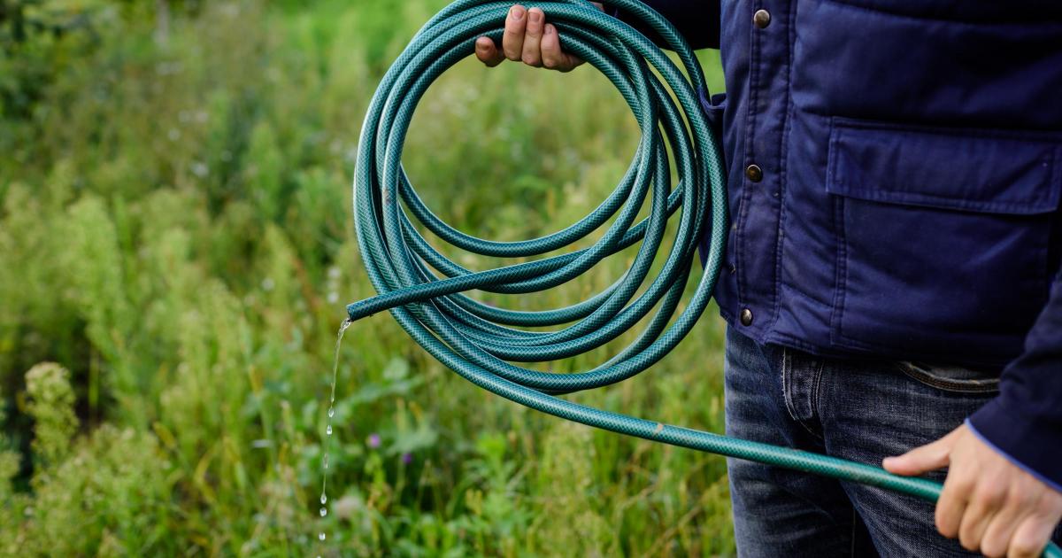 Dorset hosepipe ban as drought and heatwave hit supplies