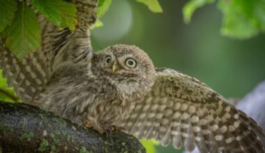 Andover Advertiser Camera Club Picture of the Week
