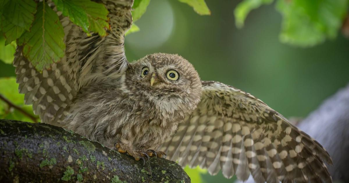 Andover Advertiser Camera Club Picture of the Week