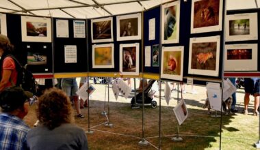 Overton Photographic Club collection at Scarecrow Festival