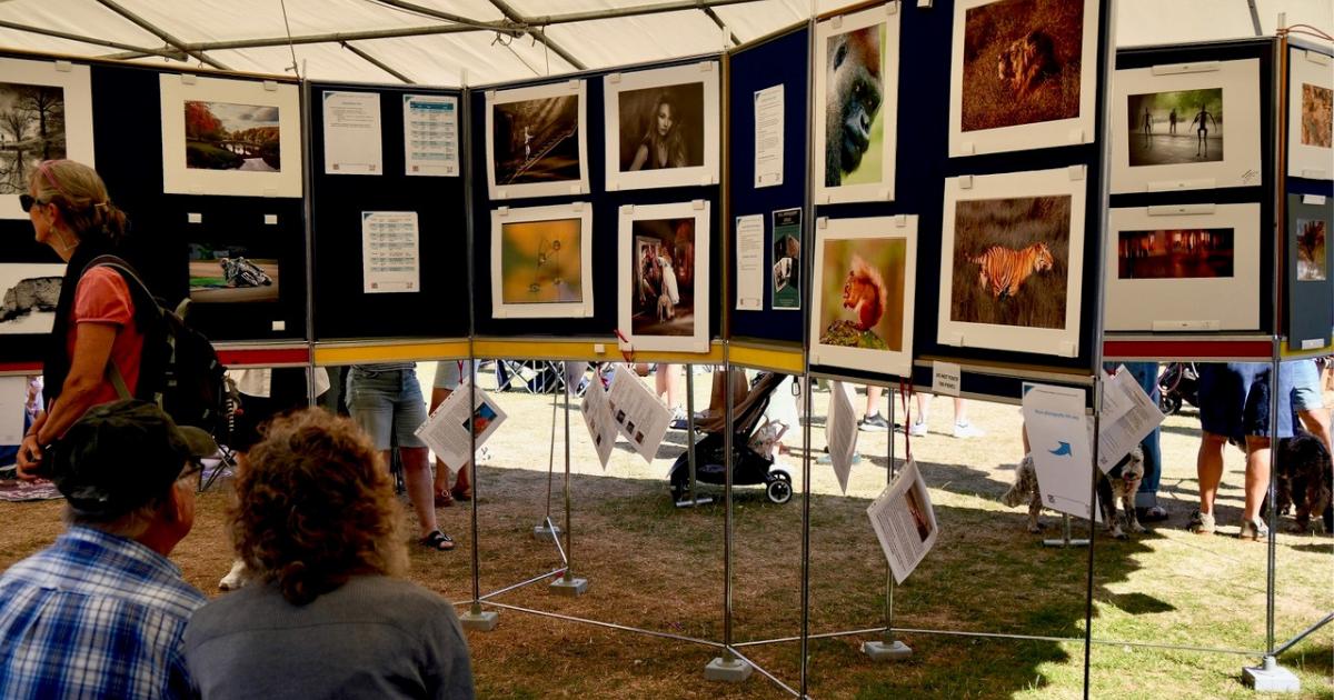 Overton Photographic Club collection at Scarecrow Festival
