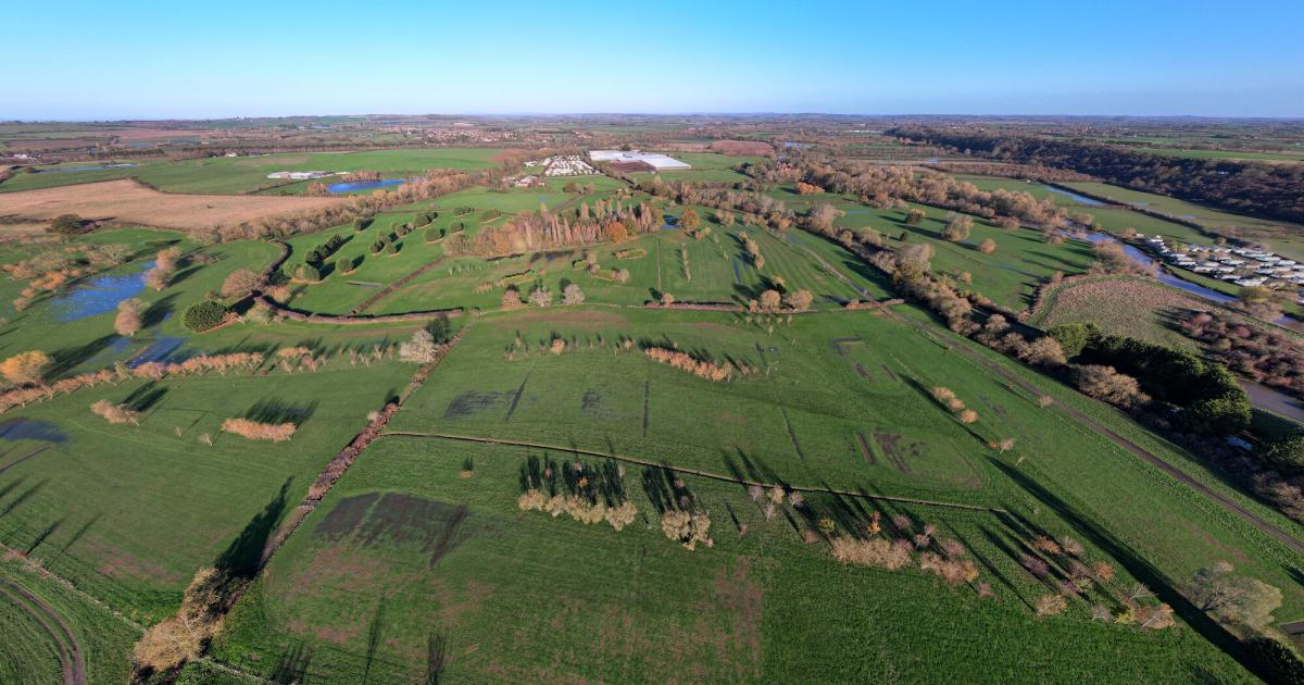 Manor Farm Golf Course to become Harvington woodland