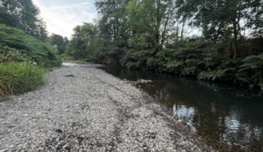 NRW seeks River Severn drought order amid water crisis