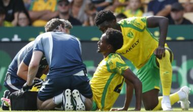 Norwich City 1-2 CA Osasuna: Match report, player ratings