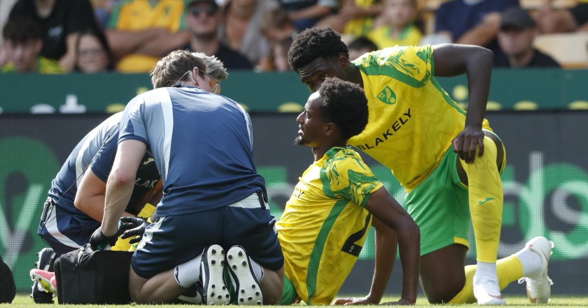 Norwich City 1-2 CA Osasuna: Match report, player ratings