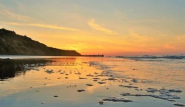 Two dead whales wash up between Mundesley and Trimingham