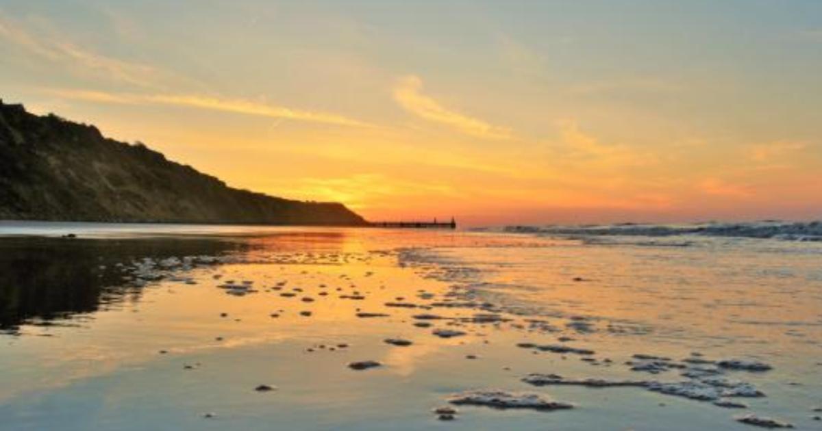Two dead whales wash up between Mundesley and Trimingham
