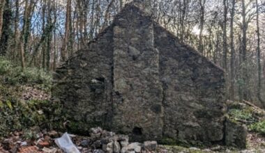 Film‑featured cottage set to be Anglesey red squirrel conservation hub