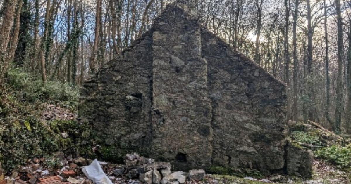 Film‑featured cottage set to be Anglesey red squirrel conservation hub