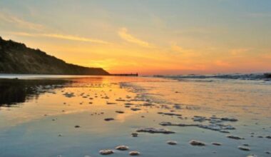 Two dead whales removed between Mundesley and Trimingham